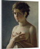 Portrait of a Young Girl, 1812 by Baron Pierre-Narcisse Guerin