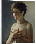 Portrait of a Young Girl, 1812 by Baron Pierre-Narcisse Guerin