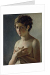 Portrait of a Young Girl, 1812 by Baron Pierre-Narcisse Guerin