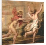 Apollo and Daphne, c.1636 by Peter Paul Rubens
