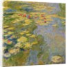 The Waterlily Pond, 1917-19 by Claude Monet