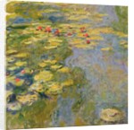 The Waterlily Pond, 1917-19 by Claude Monet