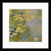 The Waterlily Pond, 1917-19 by Claude Monet