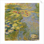 The Waterlily Pond, 1917-19 by Claude Monet