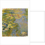 The Waterlily Pond, 1917-19 by Claude Monet