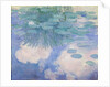 Waterlilies, 1914-17 by Claude Monet
