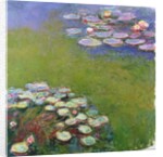 Waterlilies, 1914-17 by Claude Monet