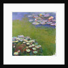 Waterlilies, 1914-17 by Claude Monet
