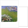 Waterlilies, 1914-17 by Claude Monet