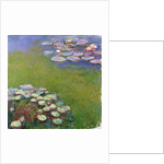 Waterlilies, 1914-17 by Claude Monet