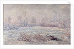 Frost near Vetheuil, 1880 by Claude Monet