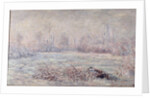 Frost near Vetheuil, 1880 by Claude Monet