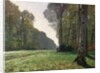 The Road to Bas-Breau, Fontainebleau, c.1865 by Claude Monet