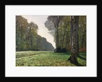 The Road to Bas-Breau, Fontainebleau, c.1865 by Claude Monet