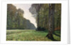 The Road to Bas-Breau, Fontainebleau, c.1865 by Claude Monet