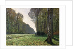 The Road to Bas-Breau, Fontainebleau, c.1865 by Claude Monet
