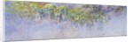 Wisteria, 1919-20 by Claude Monet