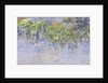 Wisteria, 1919-20 by Claude Monet