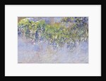 Wisteria, 1919-20 by Claude Monet