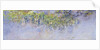Wisteria, 1919-20 by Claude Monet