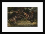 Heads of Roe Deer, 1815 by Theodore Gericault