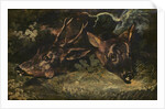 Heads of Roe Deer, 1815 by Theodore Gericault
