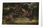 Heads of Roe Deer, 1815 by Theodore Gericault