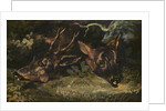 Heads of Roe Deer, 1815 by Theodore Gericault
