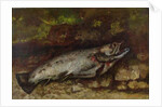 The Trout, 1873 by Gustave Courbet