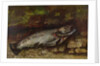 The Trout, 1873 by Gustave Courbet