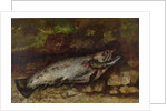 The Trout, 1873 by Gustave Courbet
