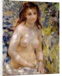 Study. Torso, effect of sunlight, c.1875-76 by Pierre Auguste Renoir