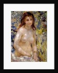 Study. Torso, effect of sunlight, c.1875-76 by Pierre Auguste Renoir