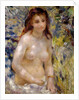 Study. Torso, effect of sunlight, c.1875-76 by Pierre Auguste Renoir
