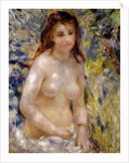 Study. Torso, effect of sunlight, c.1875-76 by Pierre Auguste Renoir