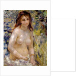 Study. Torso, effect of sunlight, c.1875-76 by Pierre Auguste Renoir