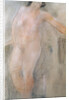 Study of a Female Nude by Auguste Rodin