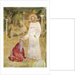 The Vision of St. John at Patmos by Matteo di Giovanetto da Viterbo