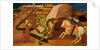 St. George and the Dragon, c.1439-40 by Paolo Uccello