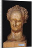 Bust of Johann Wolfgang von Goethe, 1831 by Pierre Jean David d'Angers