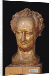 Bust of Johann Wolfgang von Goethe, 1831 by Pierre Jean David d'Angers