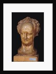 Bust of Johann Wolfgang von Goethe, 1831 by Pierre Jean David d'Angers