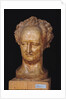 Bust of Johann Wolfgang von Goethe, 1831 by Pierre Jean David d'Angers