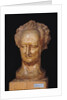 Bust of Johann Wolfgang von Goethe, 1831 by Pierre Jean David d'Angers