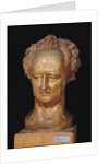 Bust of Johann Wolfgang von Goethe, 1831 by Pierre Jean David d'Angers
