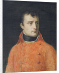 Napoléon Bonaparte, First Consul by Anne Louis Girodet de Roucy-Trioson