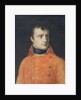 Napoléon Bonaparte, First Consul by Anne Louis Girodet de Roucy-Trioson