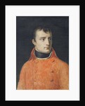 Napoléon Bonaparte, First Consul by Anne Louis Girodet de Roucy-Trioson