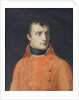 Napoléon Bonaparte, First Consul by Anne Louis Girodet de Roucy-Trioson