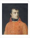 Napoléon Bonaparte, First Consul by Anne Louis Girodet de Roucy-Trioson